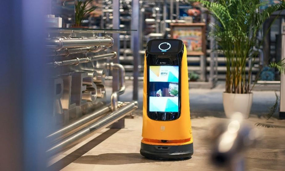 GR ketty pro KETTY pro